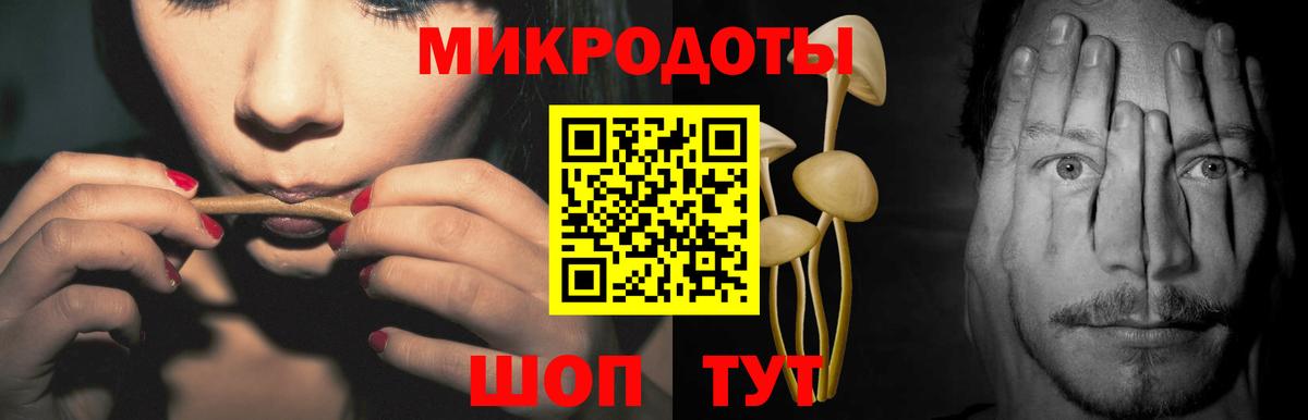 Галлюциногенные грибы мухоморы Кирово-Чепецк